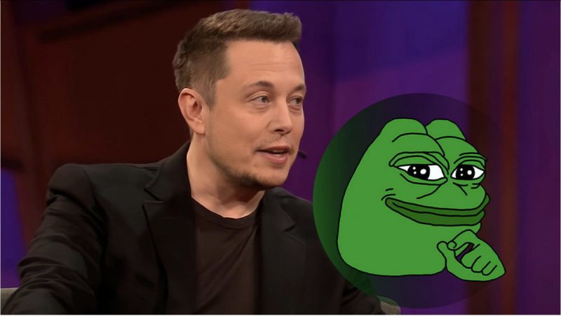 PEPE Elon Musk